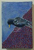 Starling on the Edge SOLD
